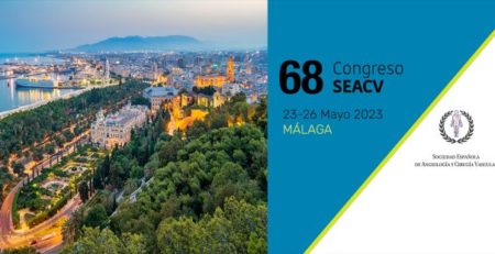 Comite Cientifico de la Sociedad Espanola de Angiologia y Cirugia Vascular 2023 Congreso Malaga